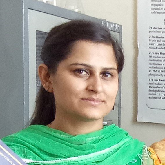 96-Pratibha